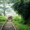 옹심이팥죽 이미지