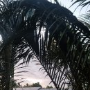 반딧불주유소 이미지