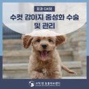 고척원동물의료센터 이미지