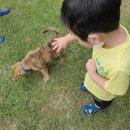 윤앤준펜션 이미지