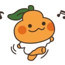 동광리-13 이미지