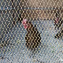 고래농장 이미지