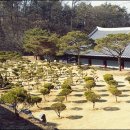 택수목장 이미지