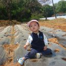 태기농장 이미지