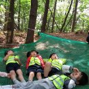 강내초교 병설유치원 이미지