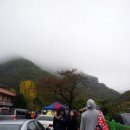 축령산편백하우스 이미지