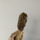 대형견수제간식 추천 &#39;벨라스키친&#39; 천하장사 치킨둘리바