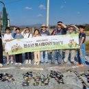 담양군 반려유기동물 공공진료소 이미지