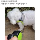 오징어아저씨 이미지