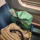 복성농장 | [노맛존경주] 신규발굴! 술맛나는, 경주치고 맛집 ㅋㅋ <복성탁주> ft. 무침회/동태찌개