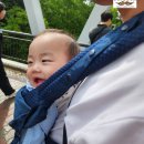 하금정보호수아래우측도로변 | 비에이 흰수염폭포 여행 후기, 청의호수 10분 코스·무료주차·아기·임산부 동반 팁 - 20부