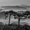 그리메
