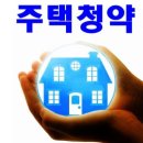강화세종공인중개사사무소 이미지