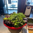 시골손두부 이미지