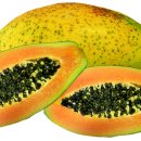 파파야 이미지