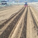 추동농장 이미지