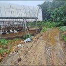 진양목장 이미지