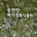 순천만 국가정원 식물원 이미지