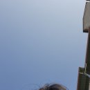 개굴개굴 이미지