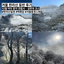 설경 | 겨울 제주 가볼만한 곳 여자 혼자 한라산 다녀온 후기 (겨울왕국 설경)