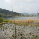 봉서 통나무 펜션 이미지