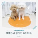 멍멍 스타일 | 강아지 식기매트 추천 | 멍멍집사 가죽 미끄럼방지 실사용 후기