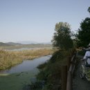 별미백반생선탕 이미지