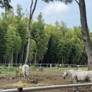 덕성목장 이미지