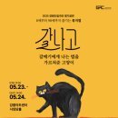루이스아트