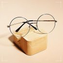 데일리101