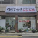 경성부동산공인중개사사무소 이미지