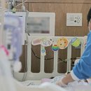 도토리 하우스 이미지