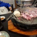 선녀와 강아지 이미지