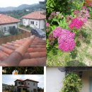 아라뜰2호점 이미지