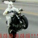 행당로33번길 이미지