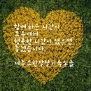 몽생이스테이 네이버블로그