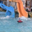 용인대 경일태권도 이미지