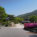 백아산관광목장백아산눈썰매장 Daum카페