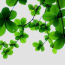 햇살 좋은날 이미지