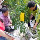 장흥군농업기술센터 이미지