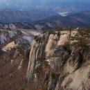 [춘천 용화산] 소나무가 멋드러진 신화속 배경같은 산 이미지