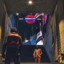 플레이독스 이미지