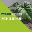 이랑가드닝 이미지