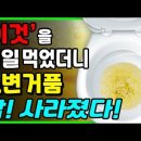 병원에서 해결해주지 않던 소변 거품! 이것으로 싹 없애라!｜소변에 거품이 나는 이유와 단백뇨에 좋은 음식, 나쁜 음식 이미지