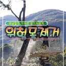 가야면 성기리 이미지