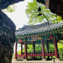 용덕사 - 용인시 처인구 이동면 | 용덕사