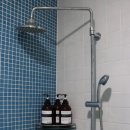 숲속 하얀 뜰 이미지