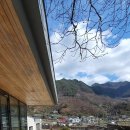 정금교 옆 이미지