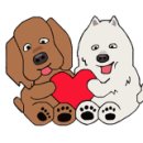 오늘도 신나개 이미지