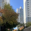 가연푸드 | 기록 재시작, 강북삼성병원 특실 출산 후기